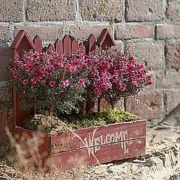 篮球项目将作为免费更新加入《任天堂Switch运动》